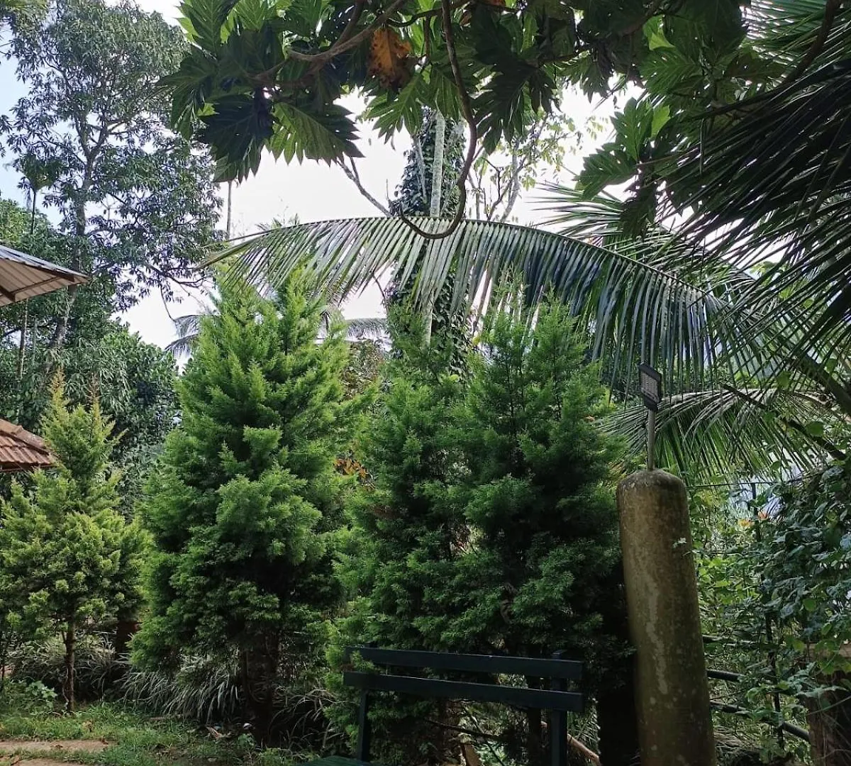The Stream View Villas Wayanad Vythiri Indien