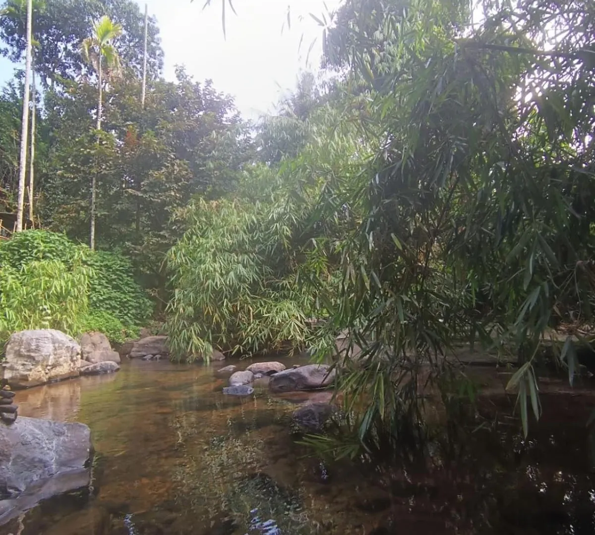 The Stream View Villas Wayanad Vythiri India